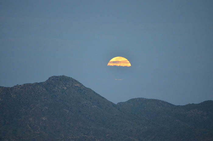 Winking moon